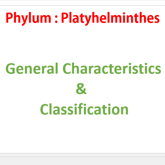 Ppt phylum platyhelminthes fonálférgek