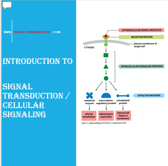 INTRODUCTION TO SIGNAL TRANSDUCTION – The Science Notes