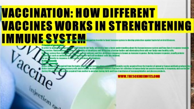 Vaccination : Principle, Types and Mechanism of strengthening Immune ...
